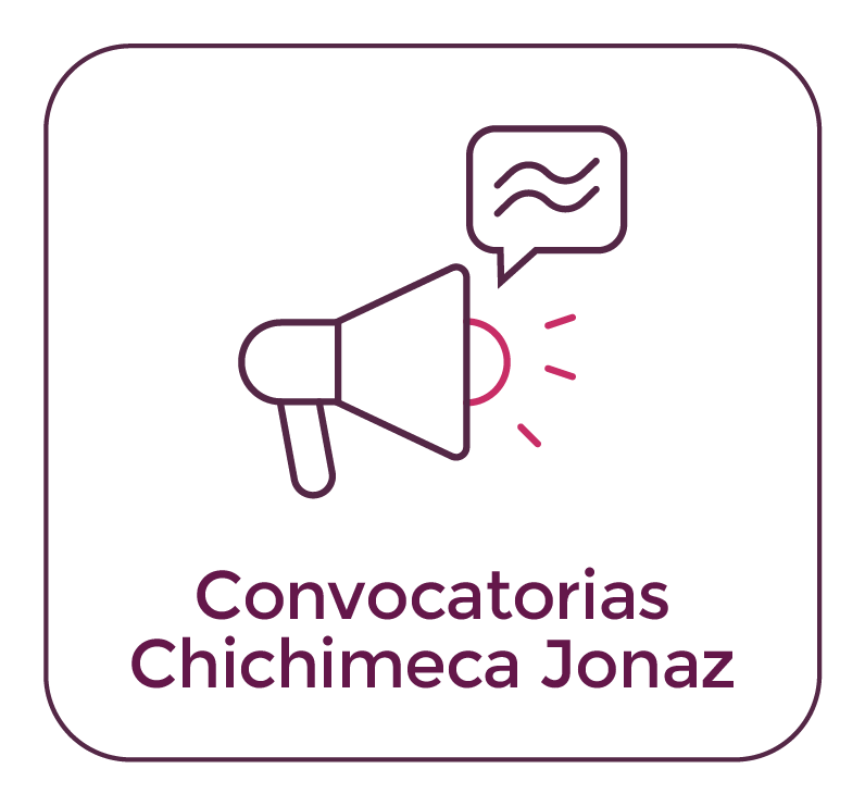 Convocatoria Observadores Electorales Chichimeca Jonaz