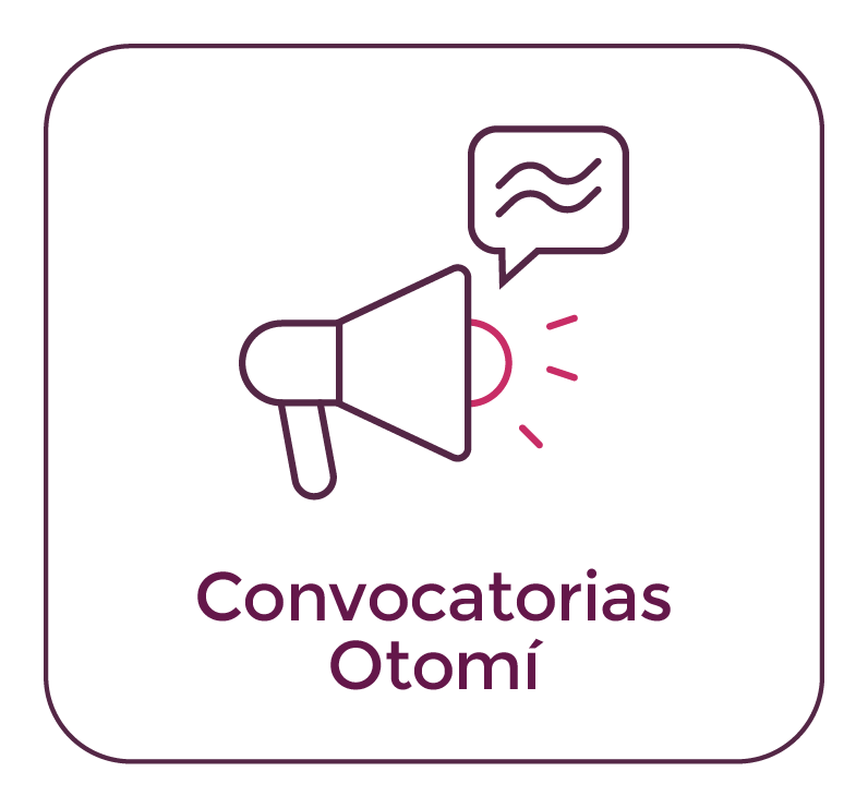 Convocatoria Observadores Electorales Otomí